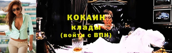ПСИЛОЦИБИНОВЫЕ ГРИБЫ Арсеньев