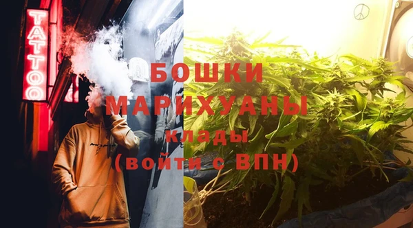 apvp Аркадак