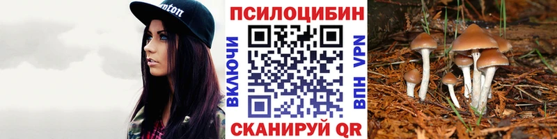 купить наркотики цена  Узловая  omg ТОР  Галлюциногенные грибы Psilocybine cubensis 