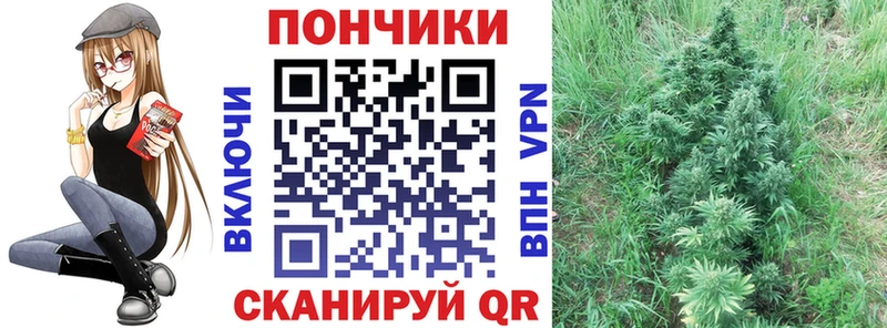 Бошки марихуана Ganja  продажа наркотиков  Узловая 